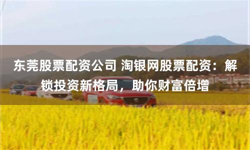 东莞股票配资公司 淘银网股票配资：解锁投资新格局，助你财富倍增