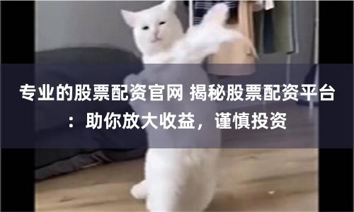 专业的股票配资官网 揭秘股票配资平台：助你放大收益，谨慎投资