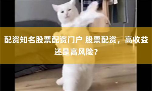 配资知名股票配资门户 股票配资，高收益还是高风险？