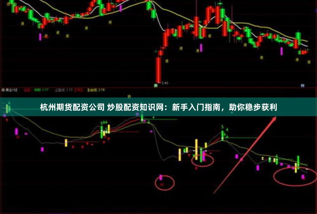 杭州期货配资公司 炒股配资知识网：新手入门指南，助你稳步获利