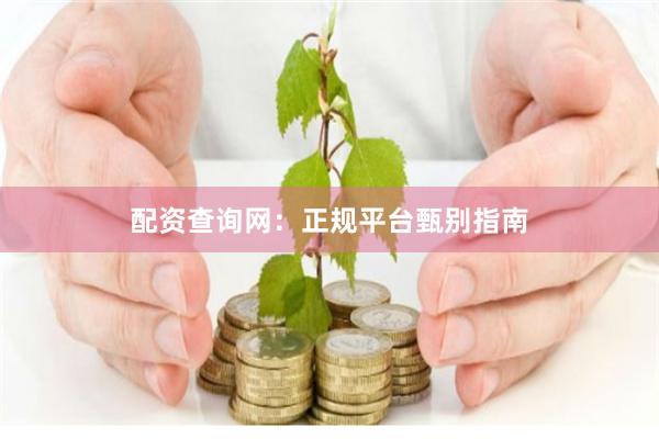 配资查询网：正规平台甄别指南